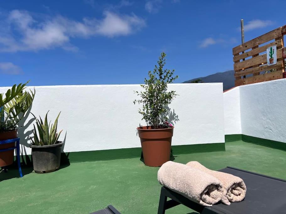 The Zarzamora Canary Little Home Los Realejos Buitenkant foto