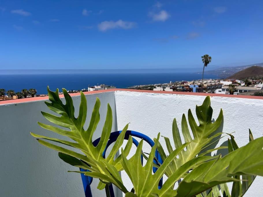 The Zarzamora Canary Little Home Los Realejos Buitenkant foto