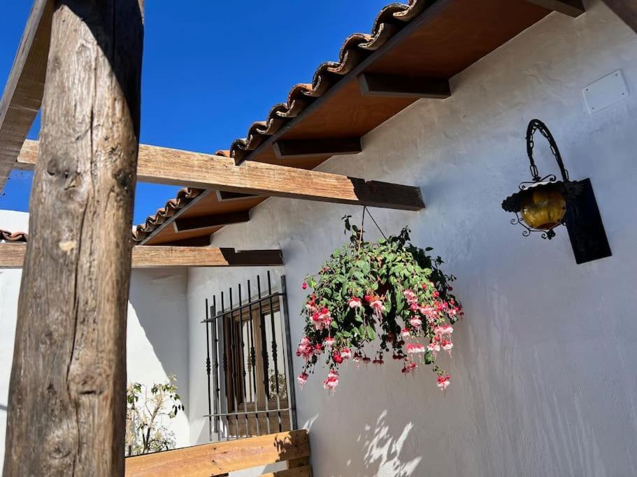 The Zarzamora Canary Little Home Los Realejos Buitenkant foto